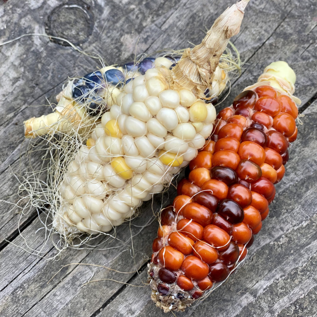 Cereal Project - Forest Gate Community Garden