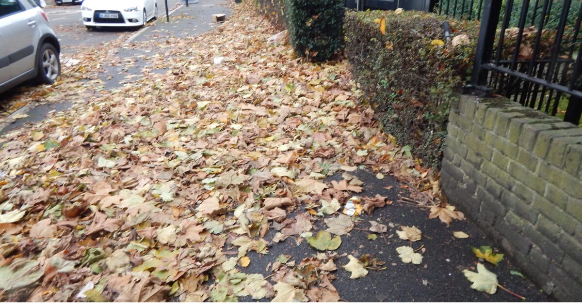 fallen Leaves