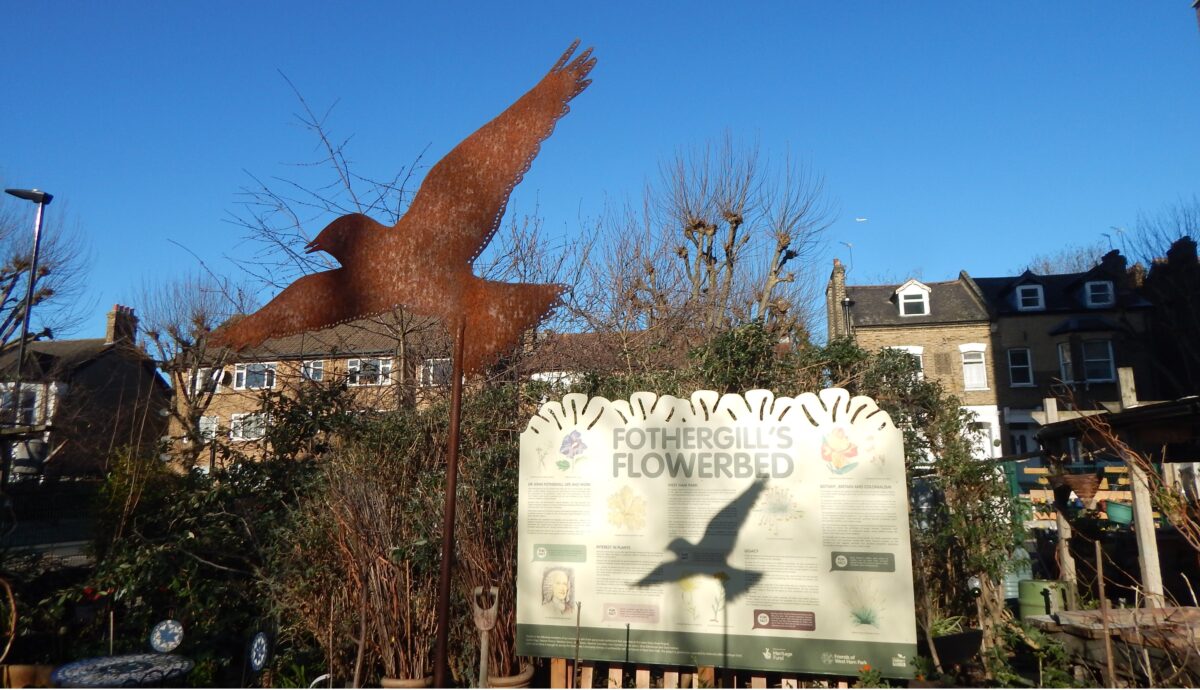 shadow of a bird in the garden